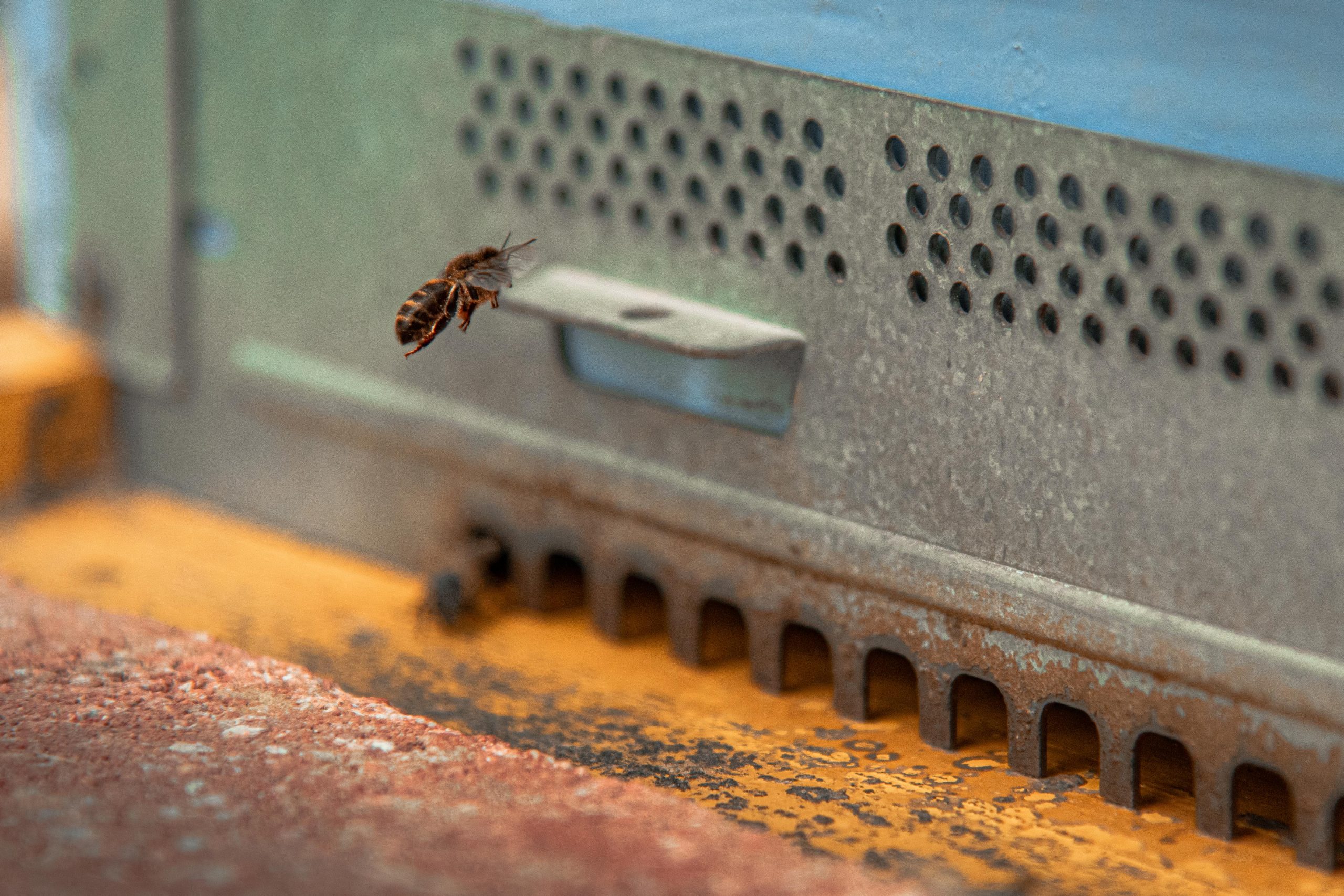 Malta International Airport monitors Air Quality with the Help of 750,000 Bees