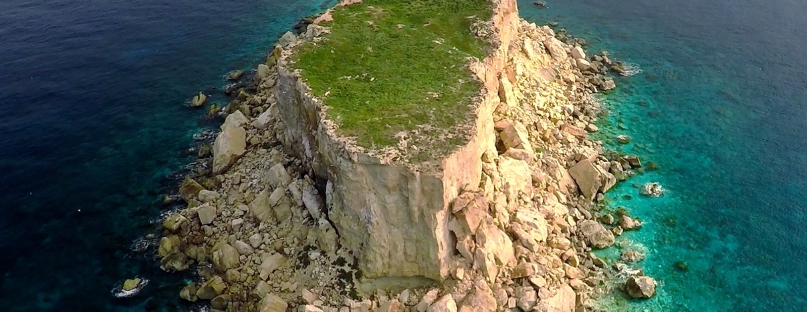 Thumbnail for Sustainability Reports